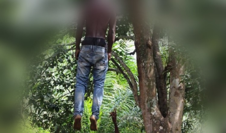 Togo : Le corps sans vie d'un jeune retrouvé suspendu à un arbre
