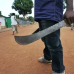 Campagne électorale : Princesse Eyi SEMEKONAWO accueillie en grande pompe à Segbé Akato
