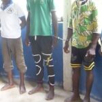 Togo : Des drogues et autres produits illicites incinérés