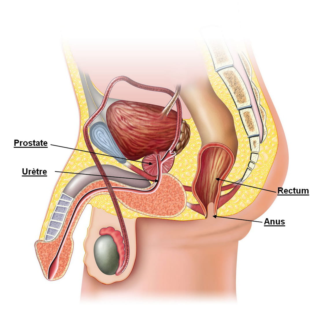 Novembre Bleu : Une conférence grand public s’annonce à Lomé sur les secrets pour la santé de la prostate