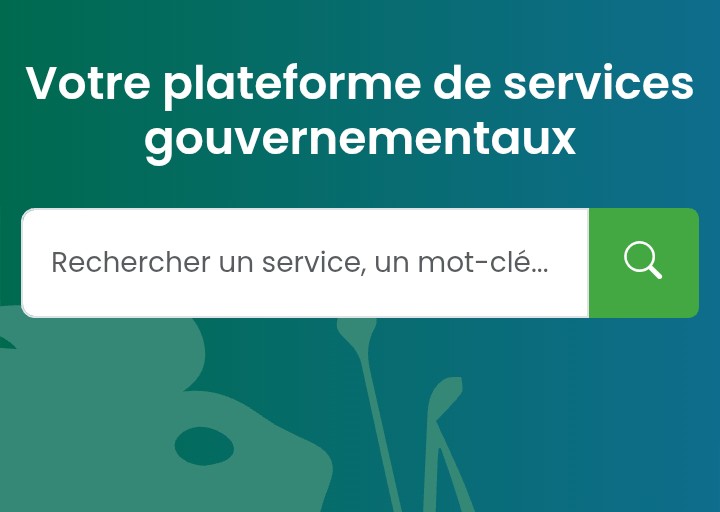 Togo : Voici comment faire la demande de nationalité pour son enfant en ligne