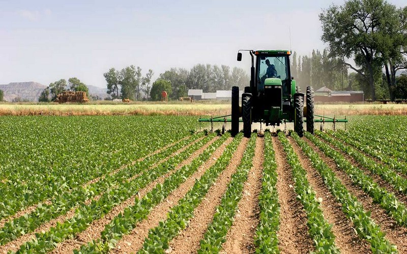 Togo : adoption d'un projet de développement agricole
