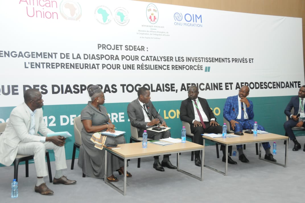 Investissements de la Diaspora : un panel révélateur met en lumière des mécanismes d'accompagnement technique mise ne place par le Togo