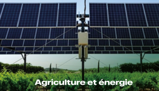Togo : agriculture et énergie comme piliers de la transformation économique en 2025