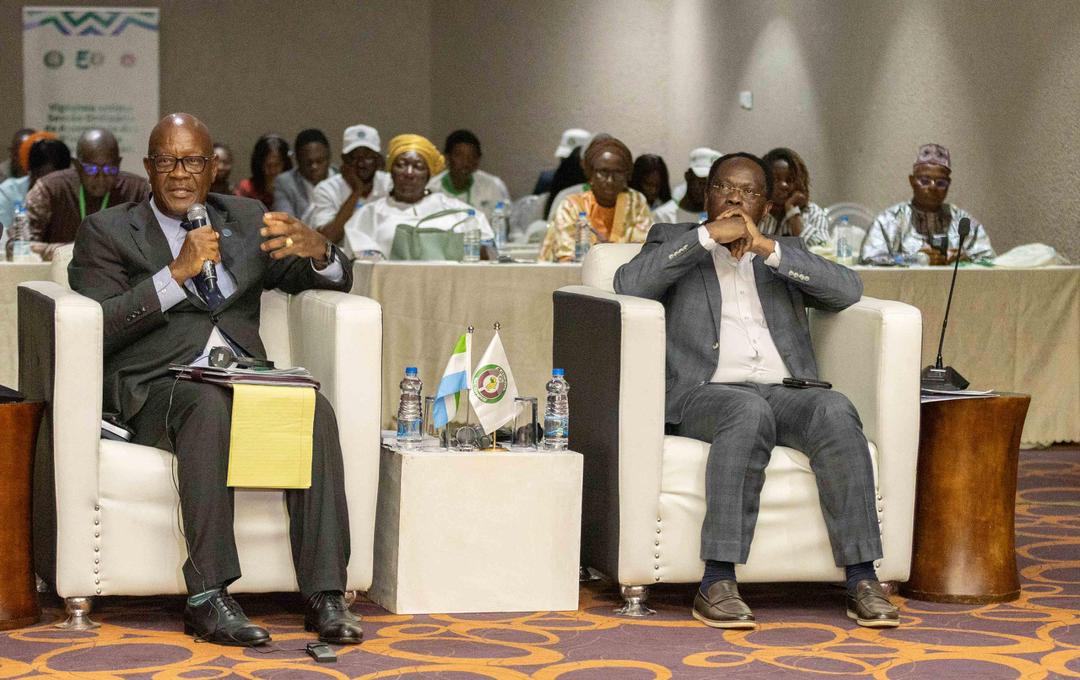 Santé en Afrique de l’Ouest : la CEDEAO adopte la Charte de Freetown et renforce la lutte contre le paludisme