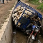 Échanges de tirs : un conducteur de moto tué à Djagblé