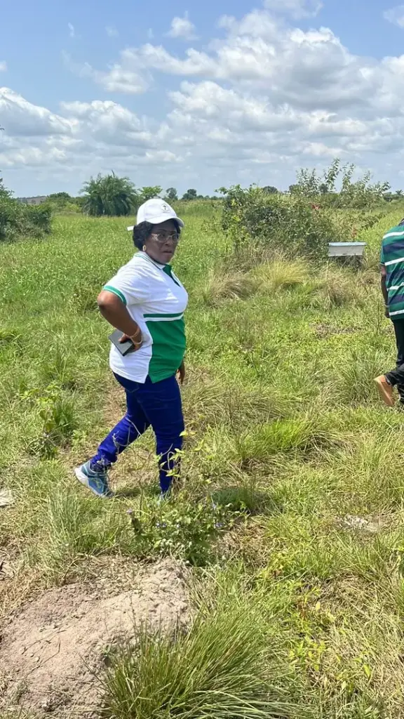 Golfe 7 : La commune mise sur l’apiculture pour dynamiser son économie